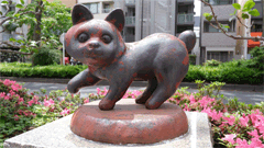 JapanCat240x135.gif