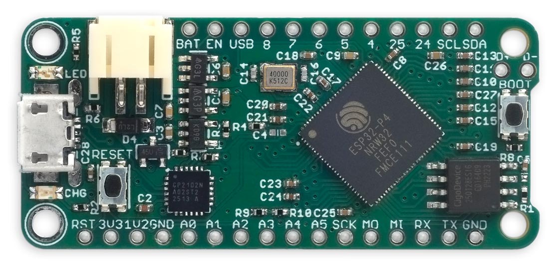 P4Feather.jpg